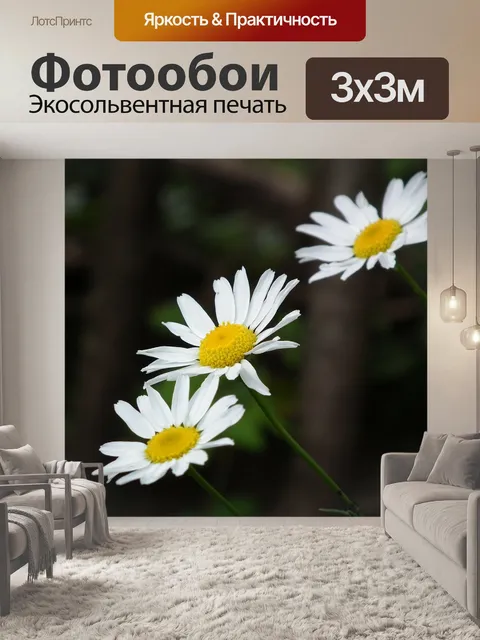 Фотообои Цветы
