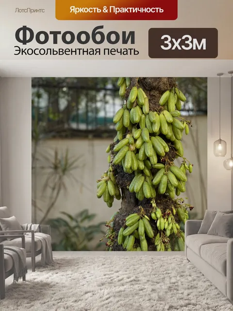 Фотообои Экзотика