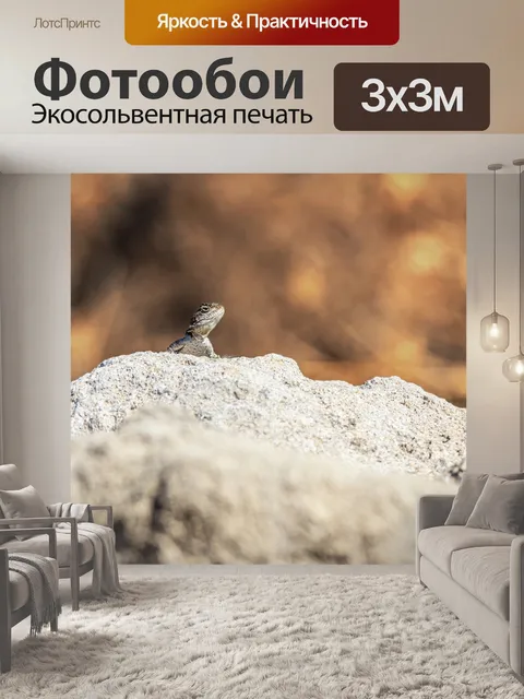 Фотообои Ящерица