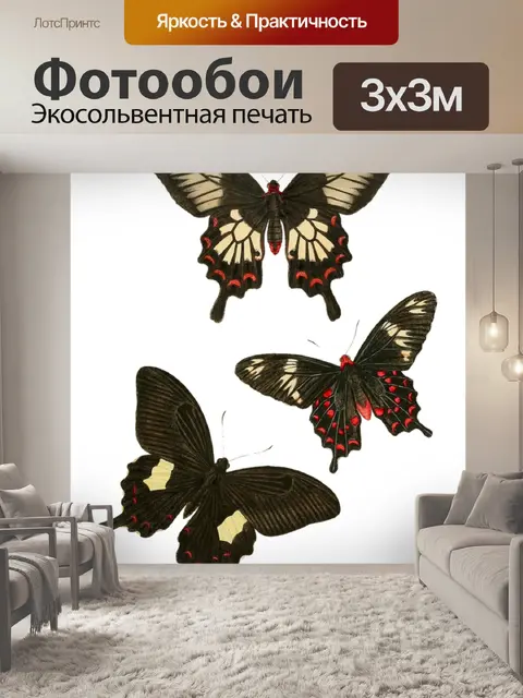 Фотообои Окрашенные винтажные бабочки
