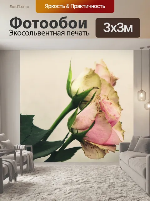 Фотообои Розы