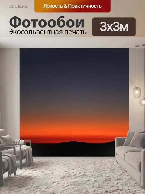 Фотообои Лес