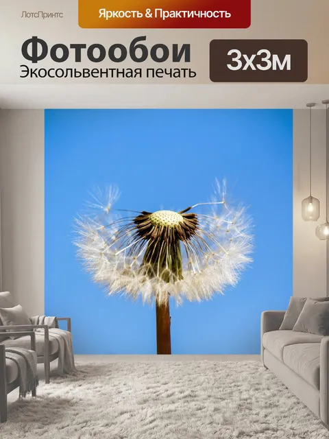 Фотообои Одуванчик