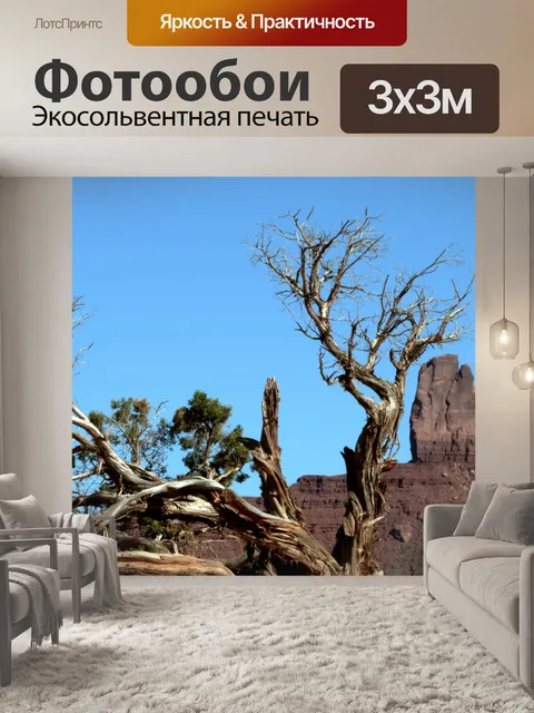 Фотообои Дерево пустыни