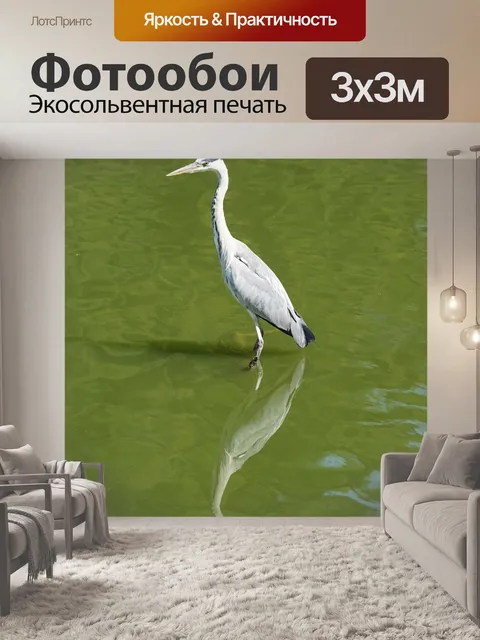 Фотообои Птица