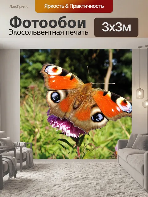 Фотообои Природа