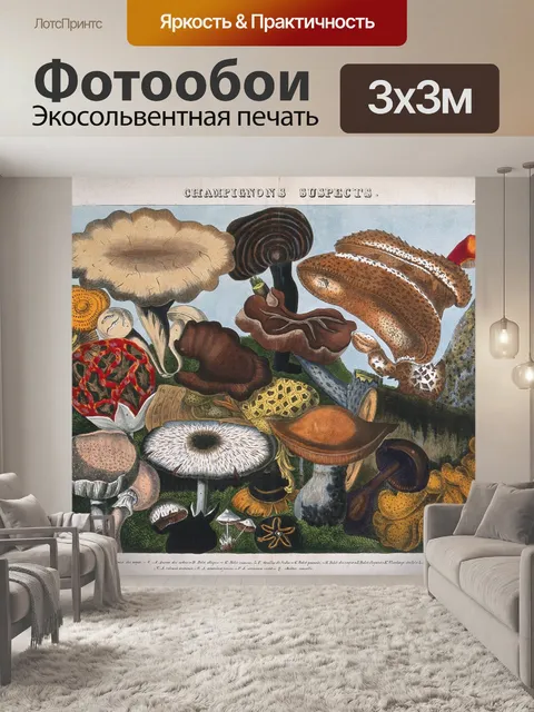 Фотообои Винтажная иллюстрация чемпиона грибов