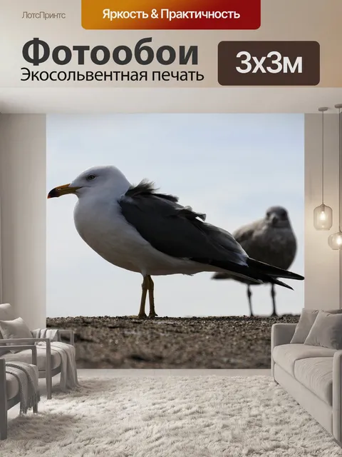 Фотообои Животное