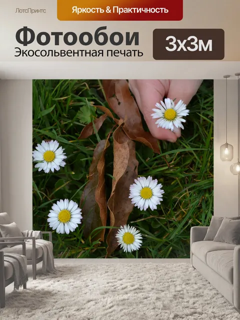 Фотообои сбор ромашки