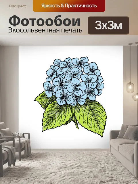 Фотообои Гортензия Цветок Синий Иллюстрация