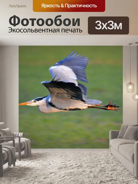 Фотообои Птица
