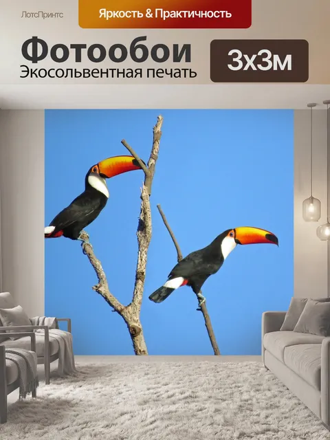Фотообои Тукан