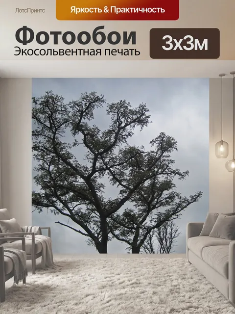 Фотообои ветви высокого дерева