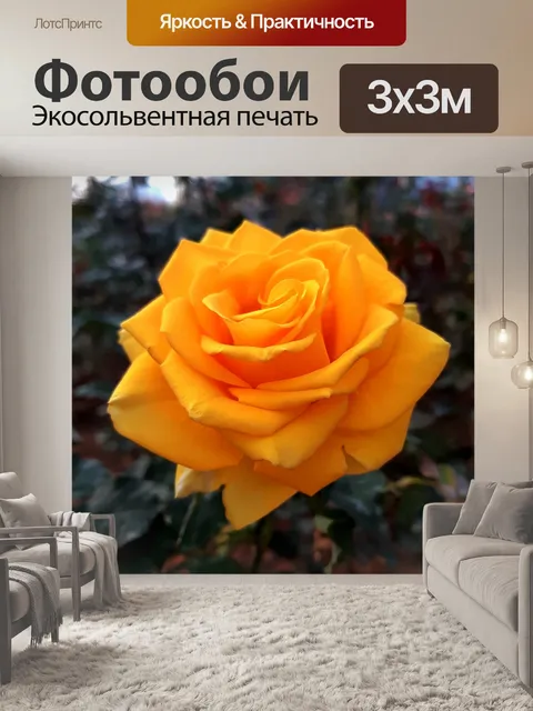 Фотообои Розы