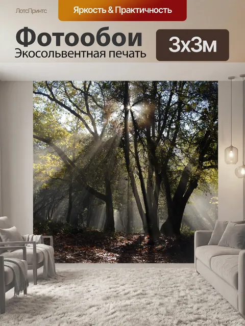 Фотообои Лес