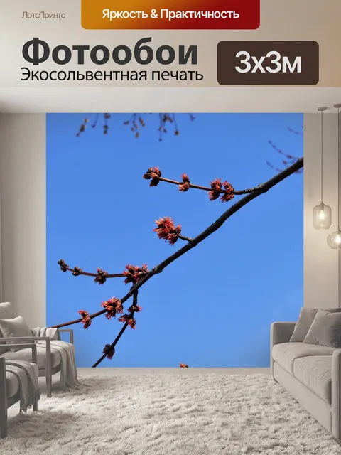 Фотообои Весна