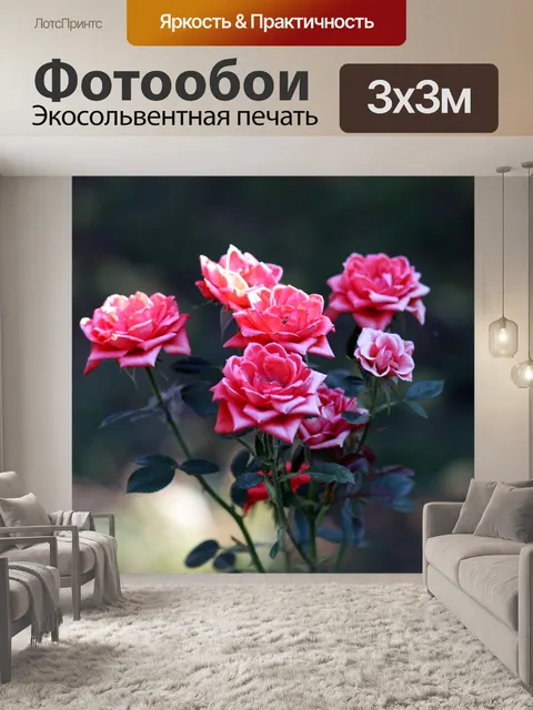 Фотообои Розы