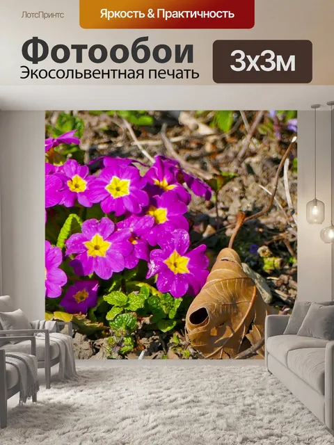 Фотообои Пейзаж
