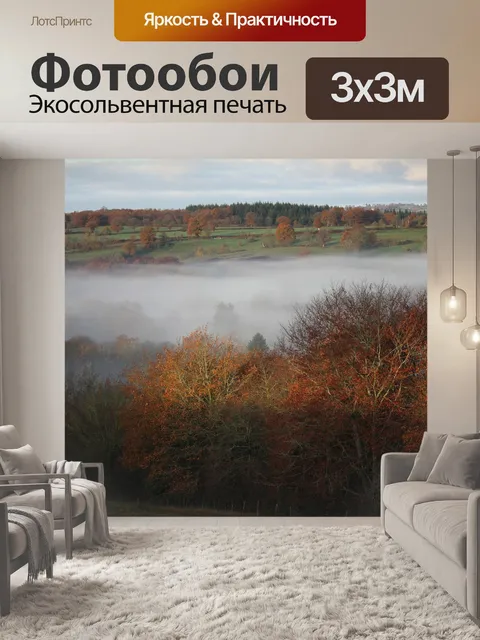 Фотообои Туман