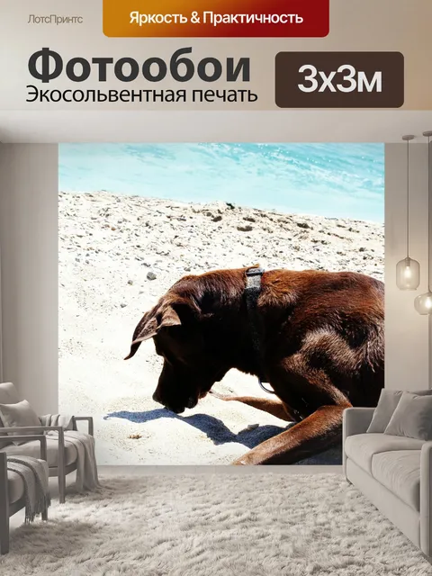 Фотообои Собака
