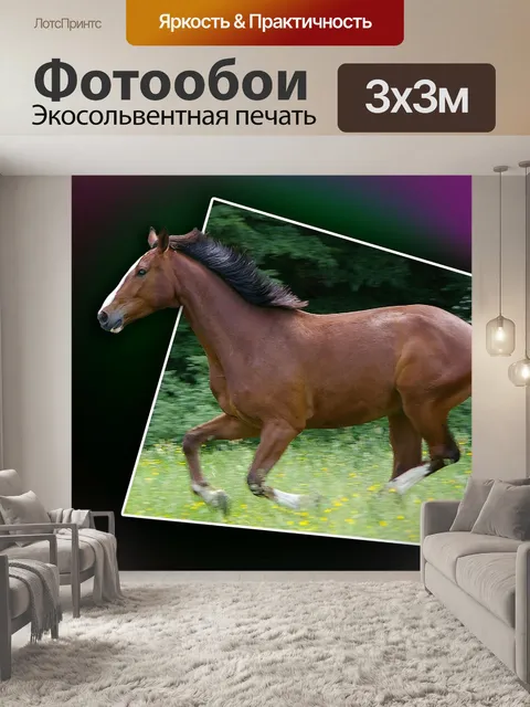 Фотообои Скачущая лошадь