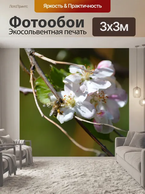 Фотообои Расцветает