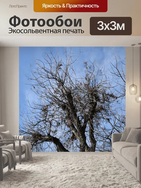 Фотообои Ветви