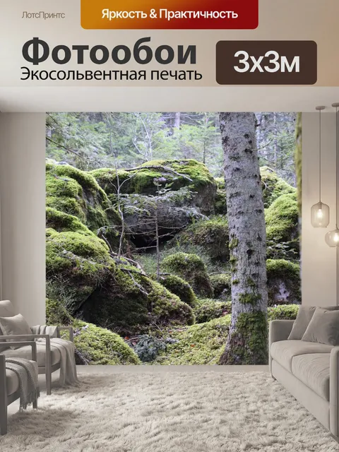 Фотообои Лес