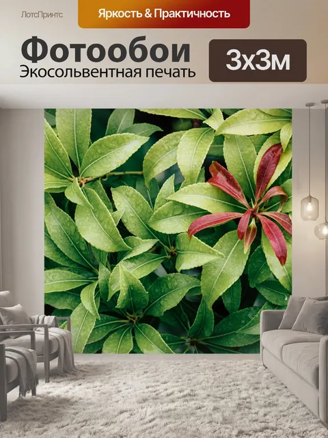 Фотообои Листья