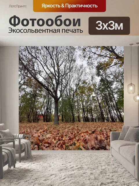 Фотообои 14. 20 ноября Листья и деревья