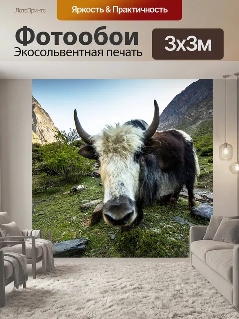 Фотообои Птицы