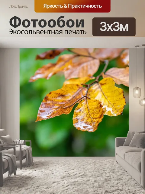 Фотообои Листья