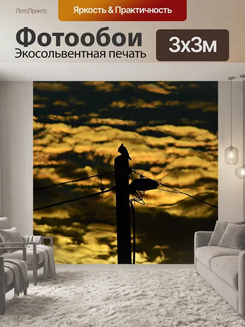 Фотообои Закат
