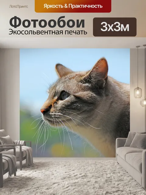 Фотообои Кошка