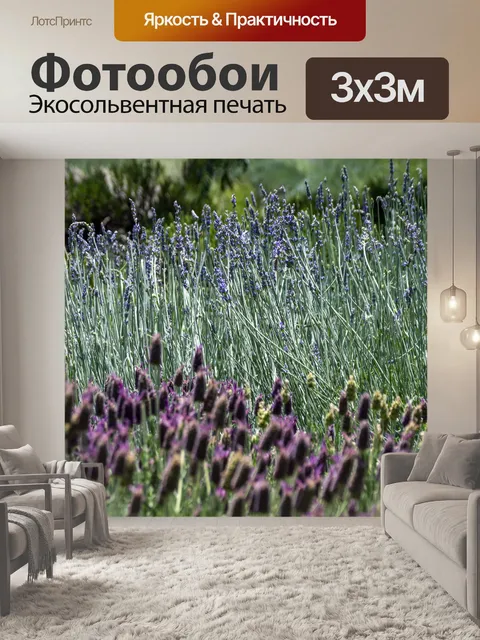 Фотообои Лаванды