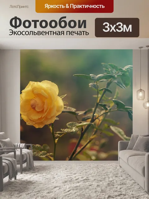 Фотообои Роза