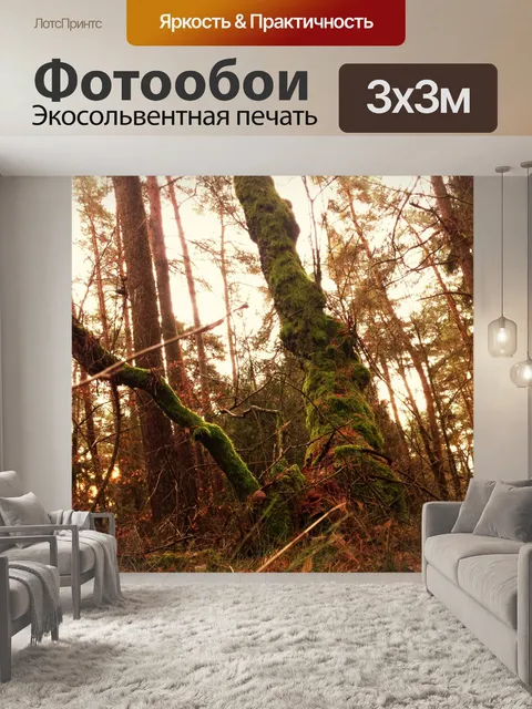 Фотообои Лес