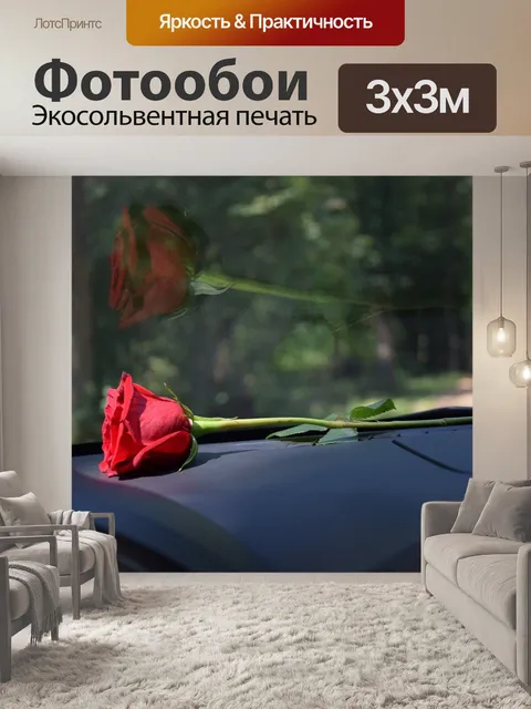 Фотообои Красная роза на приборной панели автомобиля