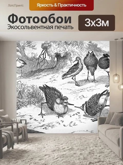 Фотообои Ерши