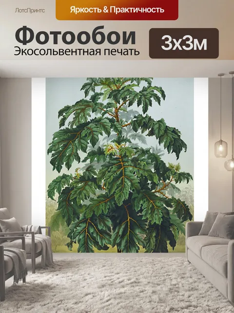 Фотообои Зеленое растение пальма винтажный ботани