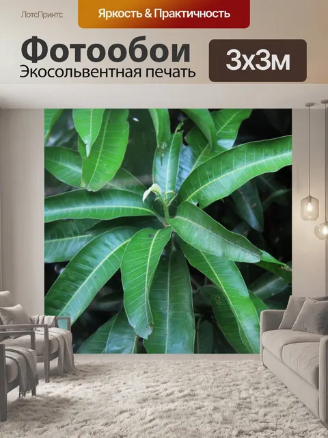 Фотообои Листья манго