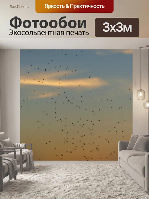 Фотообои Танец комаров