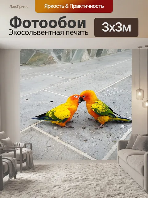 Фотообои Попугаи