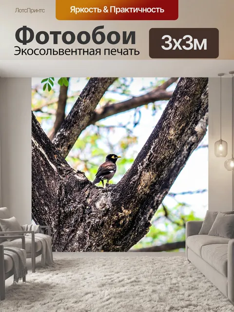 Фотообои Птица