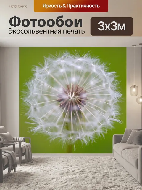Фотообои Одуванчик