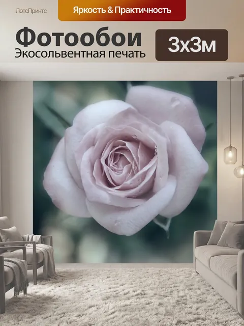Фотообои Фотография цветка розы