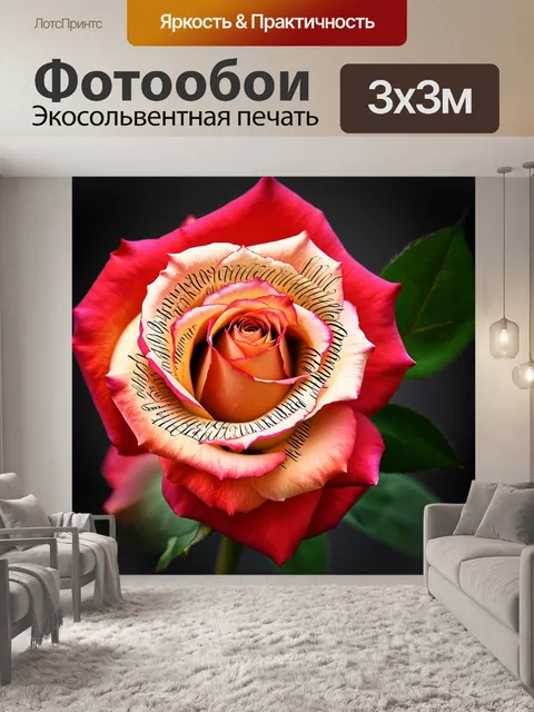 Фотообои красивая роза, украшенная каллиграфией на лепестках, с акцентом на текстуру цветов