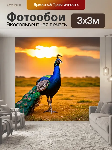 Фотообои с павлином, позирующим на фоне заката, где золотистые оттенки солнца подчеркивают его яркие перья, а небо…