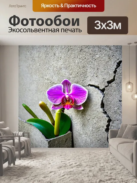 Фотообои орхидея, растущая из трещины в бетоне, символизируя силу природы