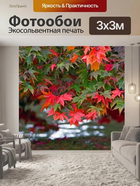 Фотообои Осенние цветы